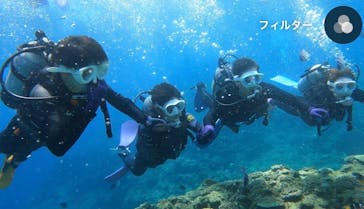 DIVING-SHOP SUNSに投稿された画像（2023/7/8）