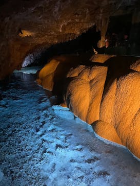 おきなわワールドに投稿された画像（2023/7/8）