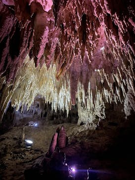 おきなわワールドに投稿された画像（2023/7/8）