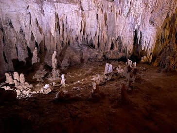 おきなわワールドに投稿された画像（2023/7/8）