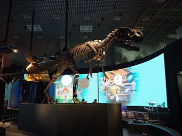 国立科学博物館に投稿された画像（2023/7/8）