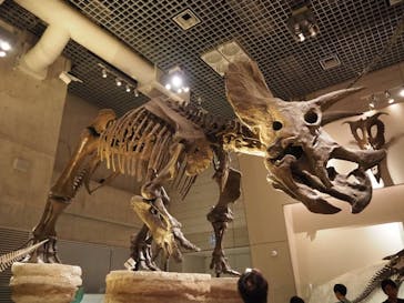 国立科学博物館に投稿された画像（2023/7/8）