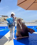 大分マリーンパレス水族館 「うみたまご」に投稿された画像（2023/7/8）