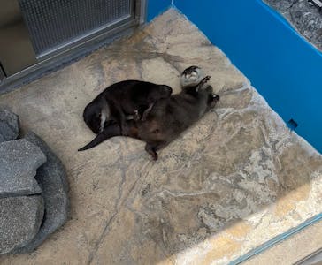 大分マリーンパレス水族館 「うみたまご」に投稿された画像（2023/7/8）