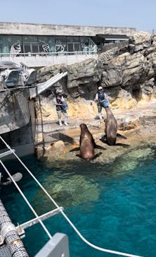 大分マリーンパレス水族館 「うみたまご」に投稿された画像（2023/7/8）