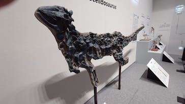 大阪市立自然史博物館に投稿された画像（2023/7/8）