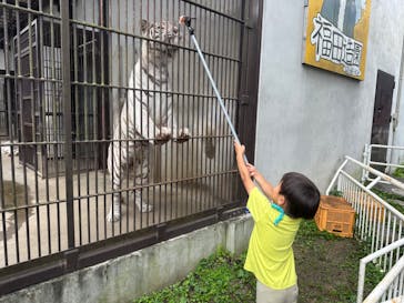 宇都宮動物園に投稿された画像（2023/7/8）