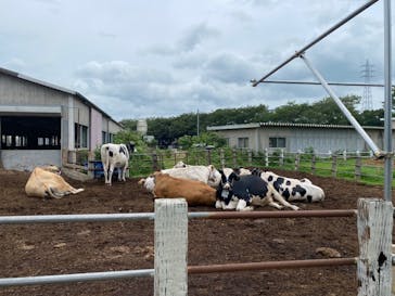 成田ゆめ牧場に投稿された画像（2023/7/8）