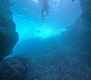 沖縄マリンサービス碧に投稿された画像（2023/7/8）