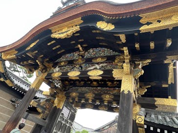 元離宮二条城に投稿された画像（2023/7/8）