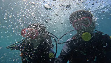 武藤潜水に投稿された画像（2023/7/8）