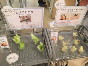 Moff animal cafe イオンモール幕張新都心店に投稿された画像（2023/7/8）