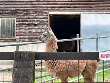 野外民族博物館 リトルワールドに投稿された画像（2023/7/8）