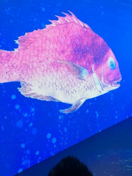 空間体感！動き出す浮世絵展 NAGOYAに投稿された画像（2023/7/8）