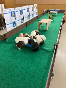 天王寺動物園に投稿された画像（2023/7/8）