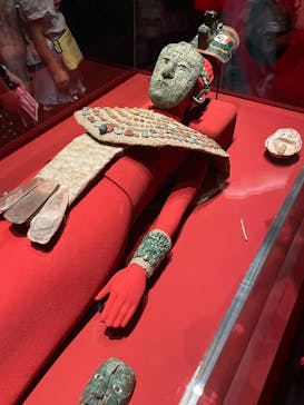 特別展「古代メキシコーマヤ、アステカ、テオティワカン」に投稿された画像（2023/7/8）