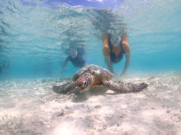 nico 宮古島に投稿された画像（2023/7/8）