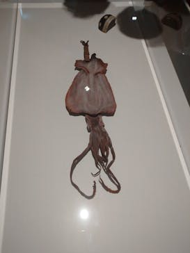 あべのハルカス美術館に投稿された画像（2023/7/8）