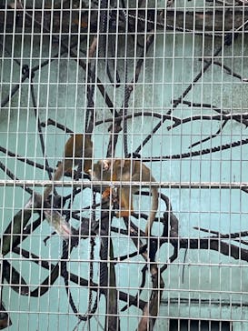 沖縄こどもの国に投稿された画像（2023/7/8）