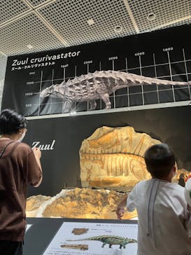 大阪市立自然史博物館に投稿された画像（2023/7/8）