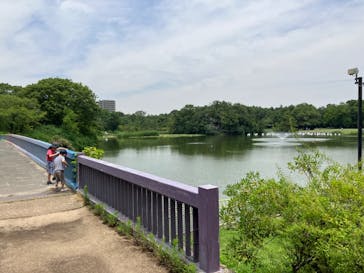 大阪市立自然史博物館に投稿された画像（2023/7/8）