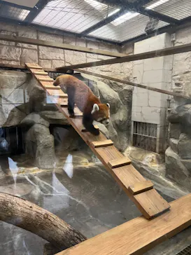 天王寺動物園に投稿された画像（2023/7/8）