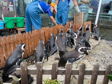 上越市立水族博物館 うみがたりに投稿された画像（2023/7/8）