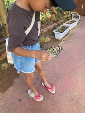 ナゴパイナップルパークに投稿された画像（2023/7/8）