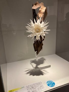 あべのハルカス美術館に投稿された画像（2023/7/8）