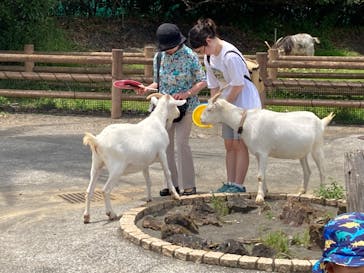 アロハガーデンたてやまに投稿された画像（2023/7/8）