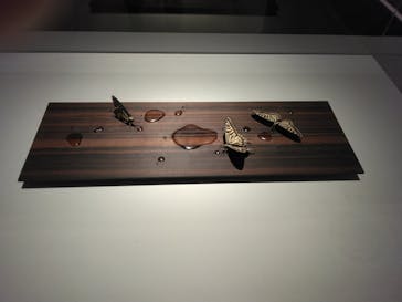 あべのハルカス美術館に投稿された画像（2023/7/8）