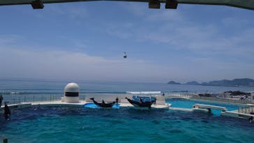 鴨川シーワールドに投稿された画像（2023/7/8）