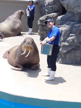 鴨川シーワールドに投稿された画像（2023/7/8）