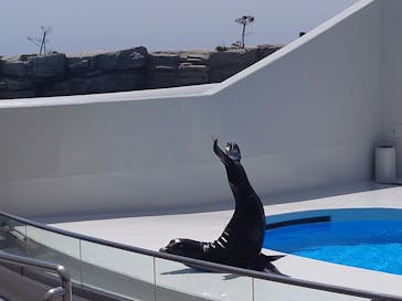 鴨川シーワールドに投稿された画像（2023/7/8）