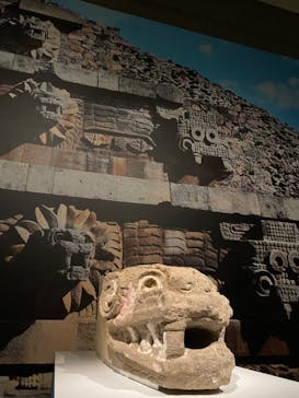 特別展「古代メキシコーマヤ、アステカ、テオティワカン」に投稿された画像（2023/7/8）