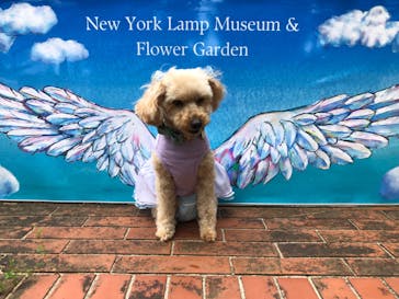 ニューヨークランプミュージアム＆フラワーガーデンに投稿された画像（2023/7/8）