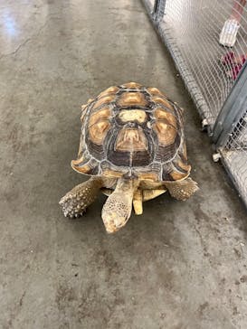 Moff アニマル カフェ イーアス 高尾店に投稿された画像（2023/7/8）