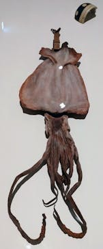 あべのハルカス美術館に投稿された画像（2023/7/8）