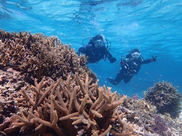 marine assist DEMI（マリンアシストデミ）に投稿された画像（2023/7/8）