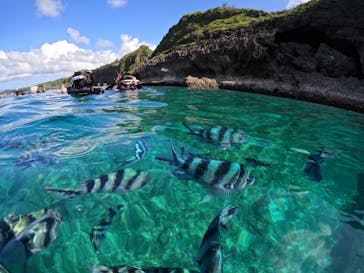 DIVING-SHOP SUNSに投稿された画像（2023/7/8）