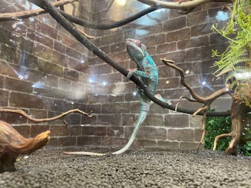 NARA IKIMONO MUSEUMに投稿された画像（2023/7/8）