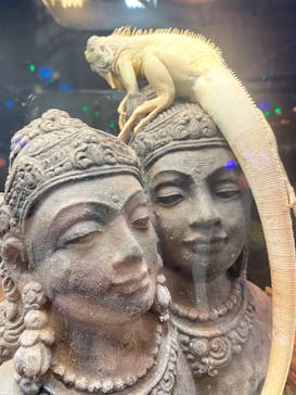 NARA IKIMONO MUSEUMに投稿された画像（2023/7/8）