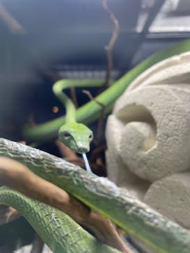 NARA IKIMONO MUSEUMに投稿された画像（2023/7/8）