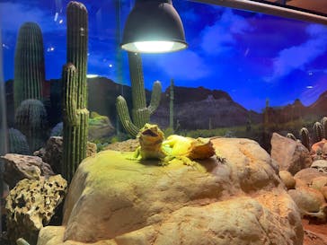 NARA IKIMONO MUSEUMに投稿された画像（2023/7/8）