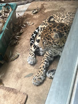 日立市かみね動物園に投稿された画像（2023/7/8）