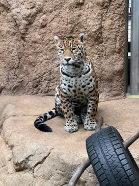 日立市かみね動物園に投稿された画像（2023/7/8）