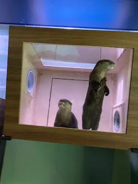 マクセル アクアパーク品川に投稿された画像（2023/7/8）