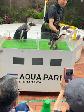 マクセル アクアパーク品川に投稿された画像（2023/7/8）