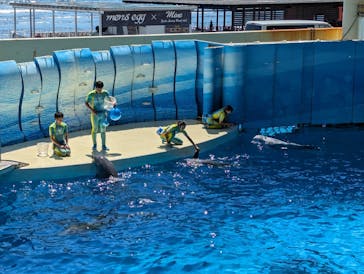 新江ノ島水族館に投稿された画像（2023/7/8）