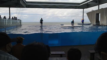 上越市立水族博物館 うみがたりに投稿された画像（2023/7/8）